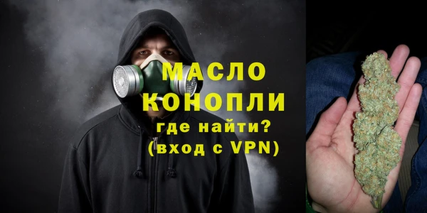индика Аркадак