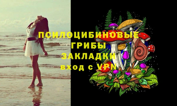 индика Аркадак