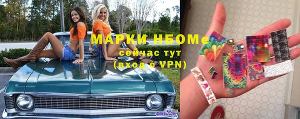 индика Аркадак