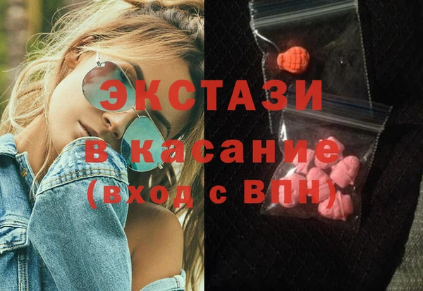 индика Аркадак