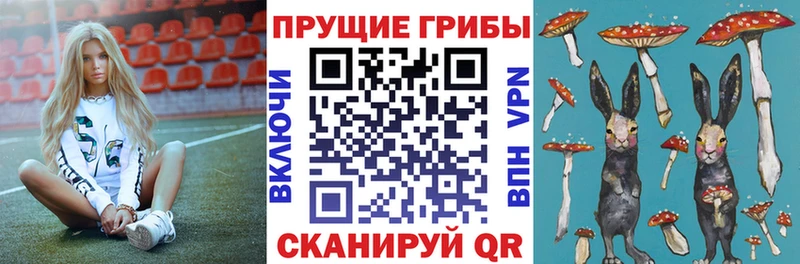 площадка клад  Родники  Галлюциногенные грибы прущие грибы  цены наркотик 